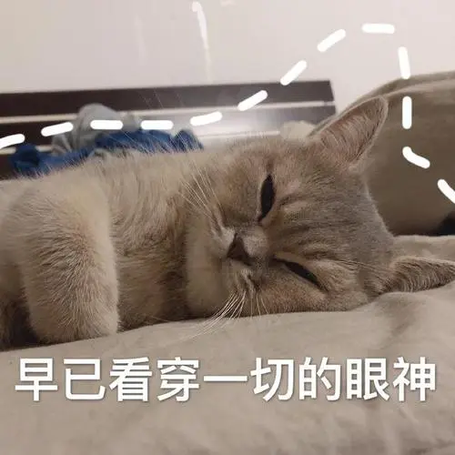 区块链与密码学全民课堂第3-3讲：比特币后端全解析
